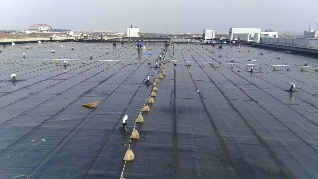 廠房防水工程