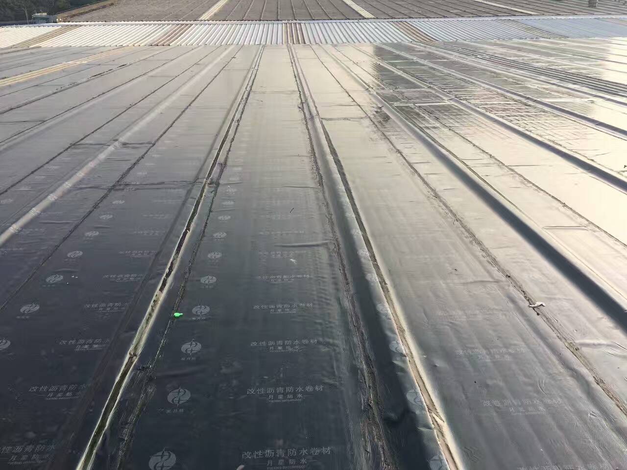 廠房防水工程