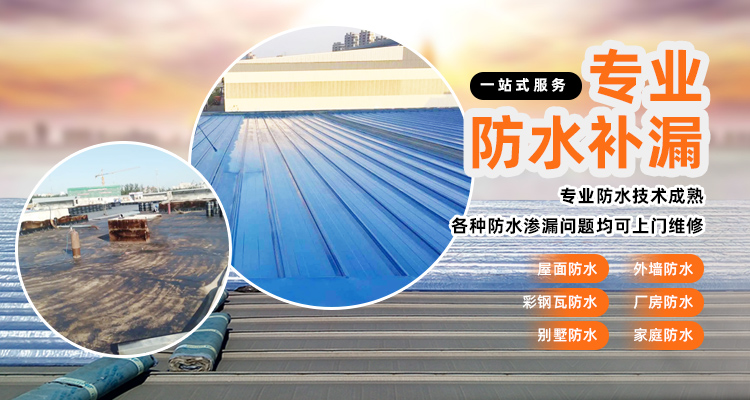 大圖一